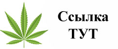 Купить наркотики в Петрозаводске